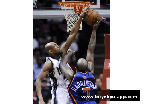 哈林顿NBA：窥探篮球背后的奇妙世界